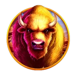 Buffalo<br>King